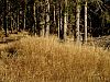 DSC05967.jpg